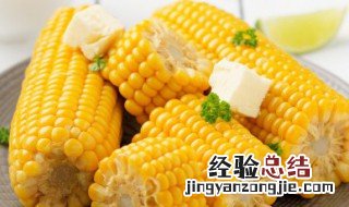 水果玉米 什么是水果玉米
