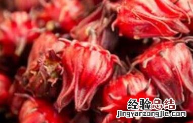红梅茶功效是什么 红金梅茶的功效与作用