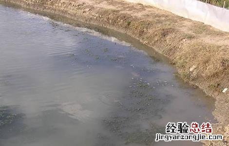 螃蟹一般怎么养殖 螃蟹养殖注意那几点