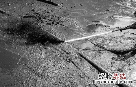 螃蟹一般怎么养殖 螃蟹养殖注意那几点