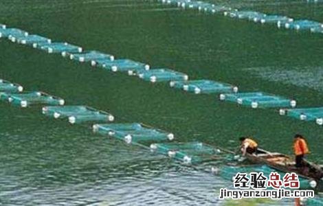 螃蟹一般怎么养殖 螃蟹养殖注意那几点