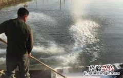螃蟹一般怎么养殖 螃蟹养殖注意那几点