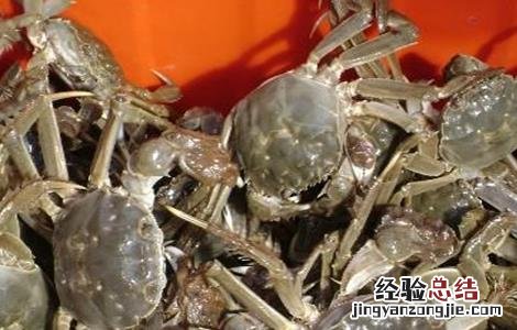 如何提高螃蟹的产量呢 如何提高螃蟹的产量