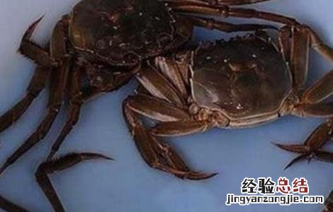 如何提高螃蟹的产量呢 如何提高螃蟹的产量