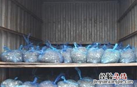 蟹苗运输注意事项 蟹苗运输注意事项图片