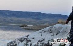螃蟹养殖四大要点 螃蟹养殖四大要点是什么