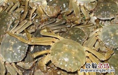 河蟹缺氧该怎么办视频 河蟹缺氧该怎么办