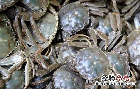河蟹缺氧该怎么办视频 河蟹缺氧该怎么办