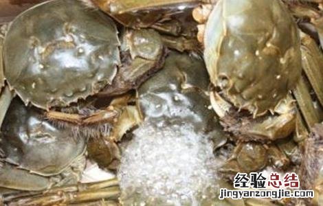 适合养殖的大闸蟹品种有哪些 适合养殖的大闸蟹品种