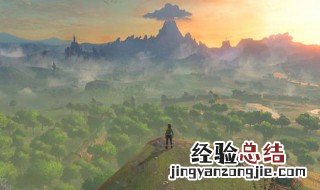 塞尔达传说怪物精华怎么得到 怪物精华怎么获得