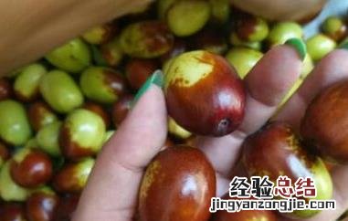 鸡心枣的功效与作用 鸡心枣的功效与作用是什么
