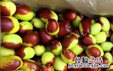 鸡心枣的功效与作用 鸡心枣的功效与作用是什么