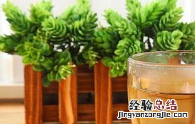 菊花决明子茶怎么泡 决明子茶怎么泡
