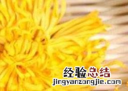 杭白菊的功效与作用 金丝皇菊的功效与作用