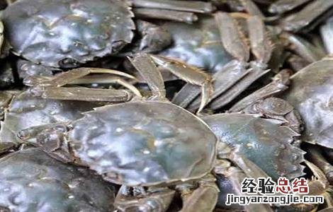 河蟹养殖模式和特色 河蟹养殖模式