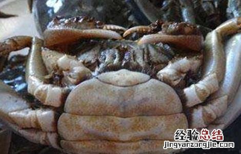 河蟹早熟的原因及预防措施 河蟹早熟的原因及预防措施图片