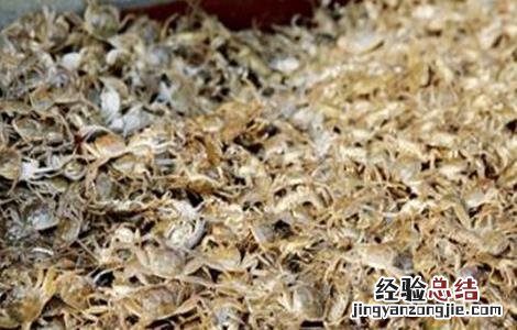 河蟹苗存活率低怎么办 河蟹苗存活率低怎么办视频
