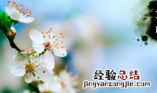 孝麻绳怎么处理 孝麻绳带回家会怎样