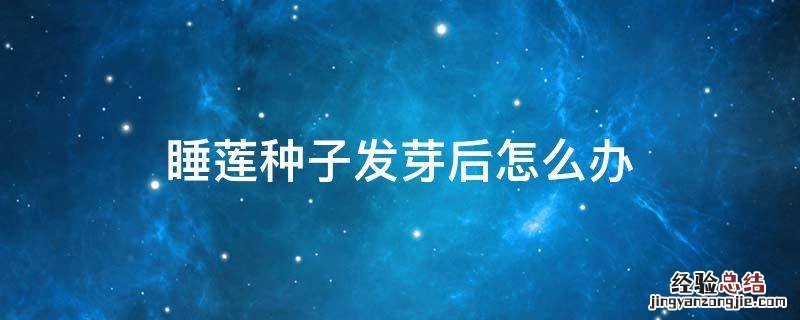 睡莲种子发芽后多久开花 睡莲种子发芽后怎么办