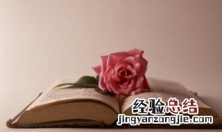 破釜沉舟的主人公是谁 这个成语的出处有知道的吗