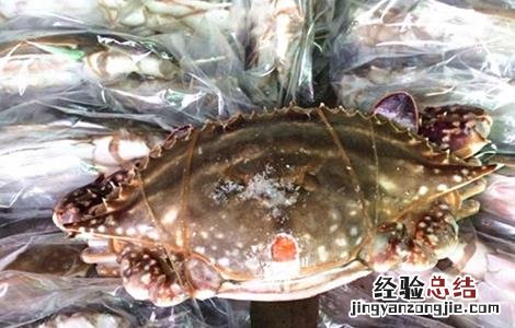 梭子蟹的高效混养方法 如何养殖梭子蟹?梭子蟹的高效养殖技术