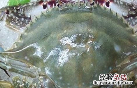 梭子蟹的高效混养方法 如何养殖梭子蟹?梭子蟹的高效养殖技术