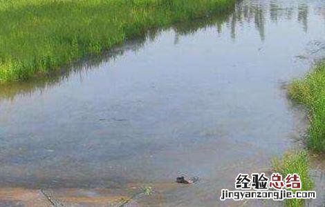秋后河蟹养殖注意事项 秋后河蟹养殖注意事项有哪些