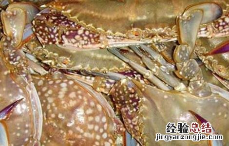 梭子蟹的养殖方法 梭子蟹怎么养殖