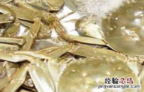 秋季河蟹死亡的原因及预防措施 秋季河蟹死亡的原因及预防措施视频