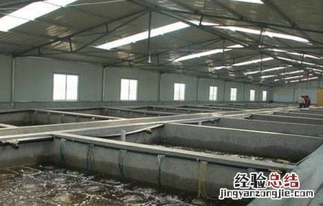 大闸蟹的养殖条件有哪些 大闸蟹的养殖条件