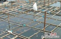 大闸蟹的养殖条件有哪些 大闸蟹的养殖条件