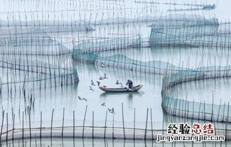 大闸蟹的养殖条件有哪些 大闸蟹的养殖条件