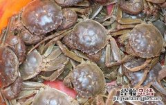 春节前放养蟹苗对池塘的要求有哪些 春节前放养蟹苗对池塘的要求