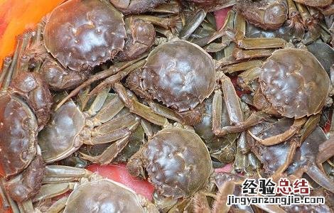 春节前放养蟹苗对池塘的要求有哪些 春节前放养蟹苗对池塘的要求