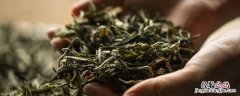 碎银子属于红茶吗? 碎银子是红茶吗