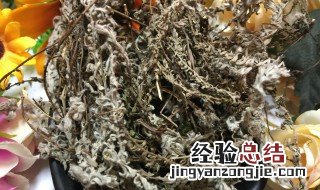 中草药六月霜的功效与作用 中药六月霜的功效与作用