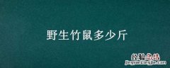 野生竹鼠多少斤 野生竹鼠多少斤一只