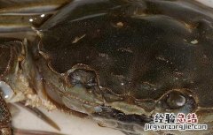 河蟹的养殖技术 如何科学的养殖河蟹