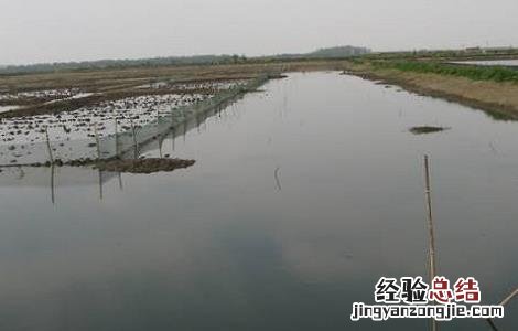 河蟹的养殖技术 如何科学的养殖河蟹