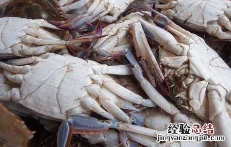 梭子蟹公母哪个好吃 梭子蟹公的母的哪个好吃