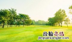 梦见树开花了预兆什么周公解梦 梦见树开花了预兆什么