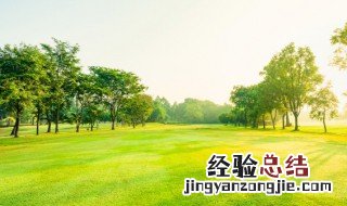 梦见树开花了预兆什么周公解梦 梦见树开花了预兆什么