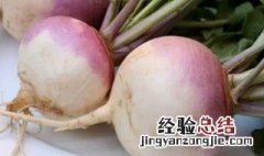 蔓菁怎么做好吃 蔓菁怎么做好吃 新鲜蔓菁的家常做法