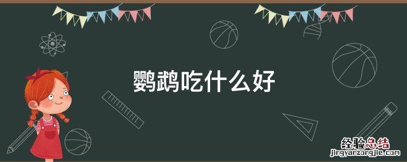鹦鹉吃什么好 绿皮鹦鹉吃什么好
