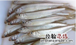 o度能钓鱼吗 0度的天气能钓鱼吗？