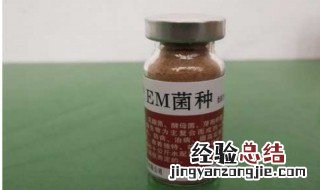 em菌种养殖怎么使用 em菌种养殖使用方法