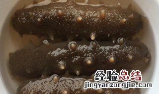 海参怎么做法 做海参的方法