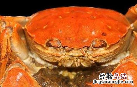 阳澄湖大闸蟹什么季节吃最好 大闸蟹什么季节吃最好