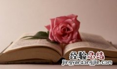 郓哥大闹授官厅武松斗杀西门庆概括 斗杀西门庆概括