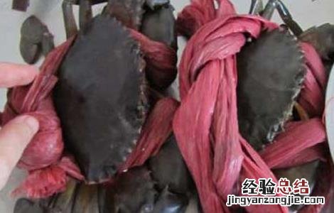 青蟹和大闸蟹哪个好吃 青蟹好还是大闸蟹好